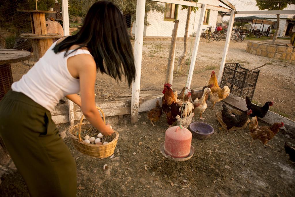 Bagban Bozcaada Bed & Breakfast Dış mekan fotoğraf