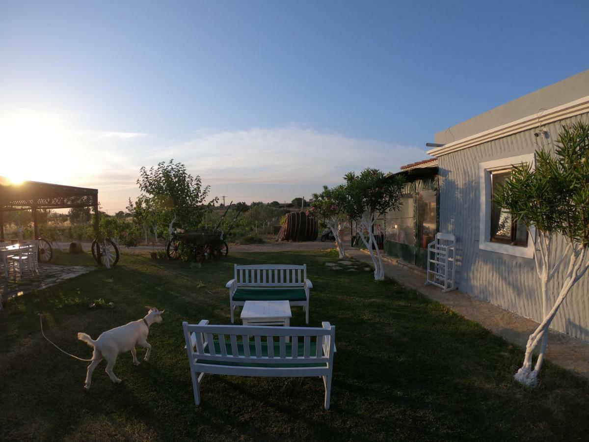 Bagban Bozcaada Bed & Breakfast Dış mekan fotoğraf